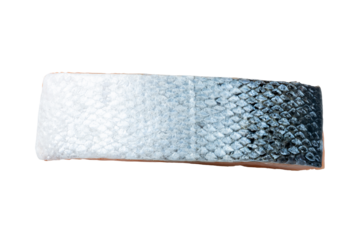 Photo of fresh raw salmon taken with a high-resolution camera using the focus-stacking technique on a white background.