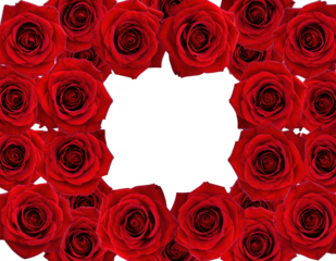 Floral frame made of red roses with empty center, isolated on white and transparent