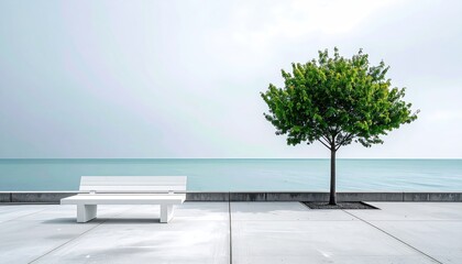 Bench, tree, ocean scene. Serene, minimalist, tranquil