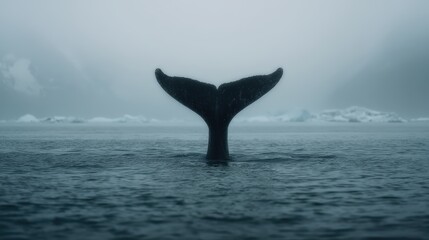 Fototapeta premium A majestic whale's tail emerges from the serene, icy waters, surrounded by mist and distant icebergs, evoking tranquility and the wonders of marine life.