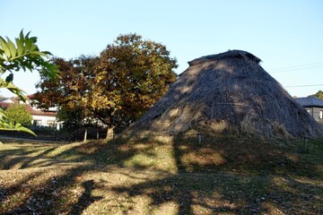 縄文人の住居跡の遺跡。autumn in the mountains