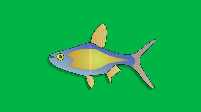 Blue and yellow cartoon tuna fish swimming left on green screen chromakey background. Suited for 2d animated cartoon animation in ocean, fishing, or marine life adventures.