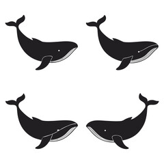 Flying  Dolphin Silhouette Vector Set