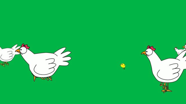 Line of cute white chickens with red combs walking in 2d animated cartoon animation on green screen chromakey background, fun for farm animal or poultry group scenes.