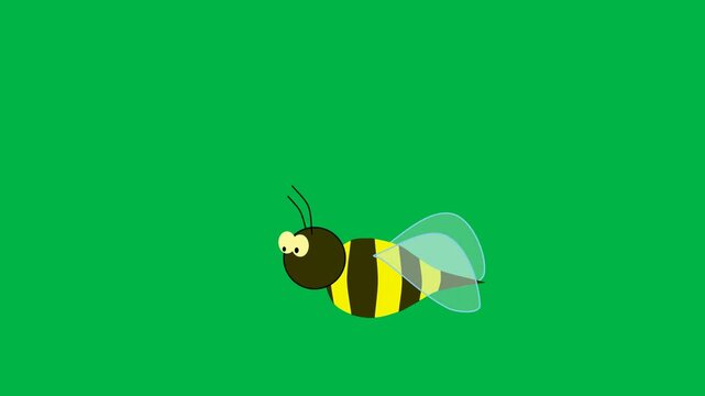 Single cute cartoon bee flying happily in 2d animated cartoon animation on green screen chromakey background, perfect for pollination or honey bee educational visuals.