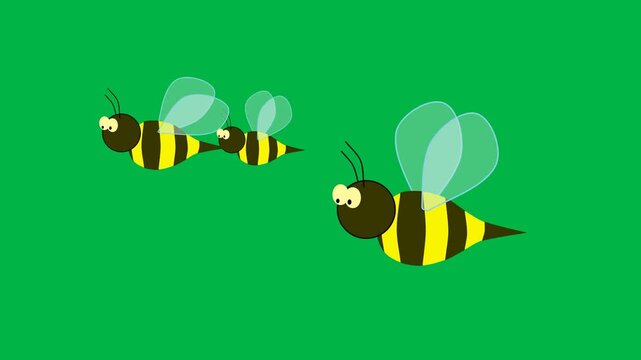 Pair of cartoon bees flying side by side in 2d animated cartoon animation on green screen chromakey background, ideal for friendship or teamwork insect themes.