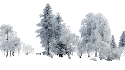 Snow covered winter forest trees frosty branches icy landscape seasonal nature scenery isolated on white background