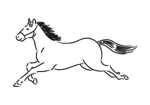 Caballo galopando en&eacute;rgicamente con trazo de dibujo lineal minimalista sobre fondo blanco