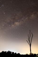 A beautiful night landscape featuring the silhouette of a tree against a dark blue sky filled with stars and a glowing moon in the vast universe