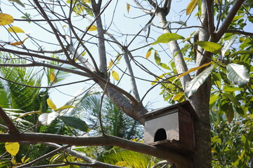 A simple wooden birdhouse attached to a tree branch under a clear blue sky.