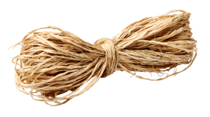 A bundle of natural raffia strands dried grass tied together on white background for crafting and diy projects