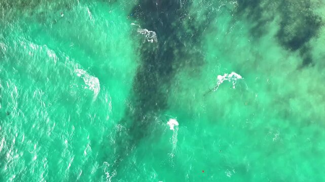 Coastline near Afytos village, Chalkidiki, Greece