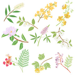 vector drawing set of tree branches with flowers and green leaves isolated at white background, hand drawn illustration