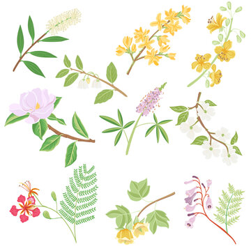 vector drawing set of tree branches with flowers and green leaves isolated at white background, hand drawn illustration