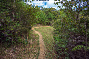 岡山 鬼ノ城 城内の遊歩道