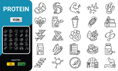 Protein line  icon set. . Vector illustration