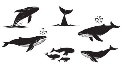 A collection of diverse black whale silhouettes illustrating various marine life poses and actions