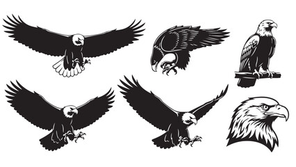 A collection of bald eagle illustrations showcasing various powerful poses and profiles