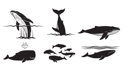 Diverse whale and fish silhouettes showcasing marine life in various dynamic poses