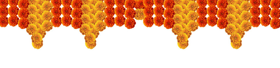 Red orange marigold hanging flowers festive design element top border