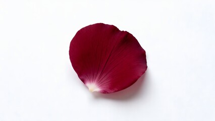 SingleDarkRedRosePetal