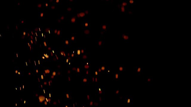 Embers, Particle Stock Footage Use Black Background