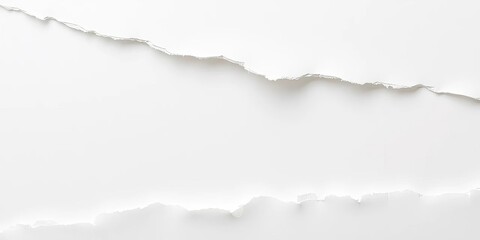 Jagged-edged off-white paper scrap, showing fiber texture and tear lines,  damaged,  detail