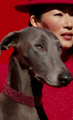 A stylish woman and a greyhound dog wear matching sparkling accessories against a vivid red backdrop. Elegant fashion portrait with bold minimalism.