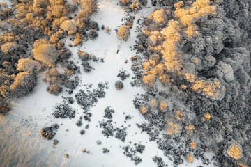 Sunrise over the frozen forest, drone point of view in the wild Alps