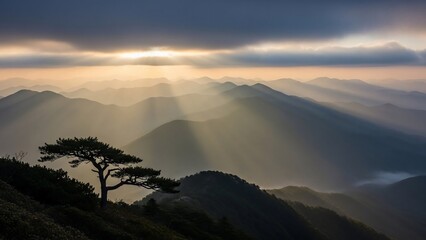 Majestic sunrise over a mountain range with dramatic light rays and a lone pine tree.