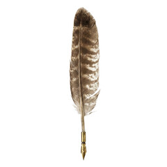 Vintage feather quill pen with gold nib on transparent background © BTG