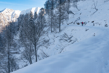 Hiker in the Alps mountains
