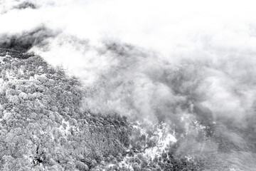 The frozen forest wrapped by mists, Como lake landscape after snowstorm