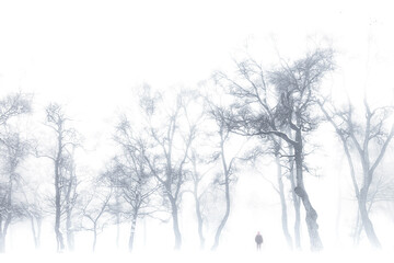 Alone in the forest, wild Alps in the winter season