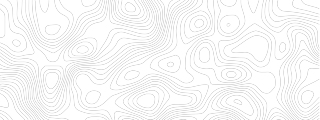 Gordijnen Landschap patronen Abstract pattern with lines seamless pattern and topography. sea map and mounted map area space geometrics line technology topo landscape grid map discovery area. Modern design white background.  © Romana