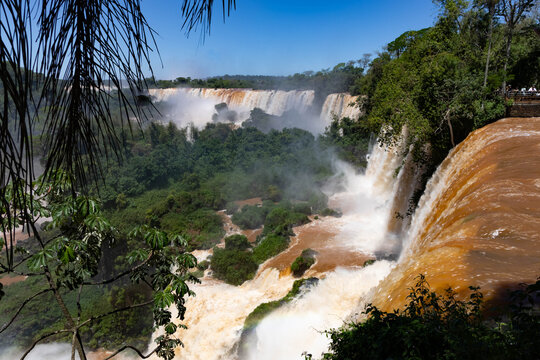 View of Iguazu Falls and rainforest in Argentina with lush landscape