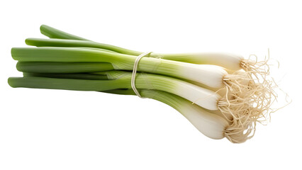 Fresh Bunch of Green Onions Tied with Rubber Band Product Shot isolated PNG with Transparent Background