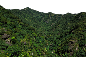 Lush green mountain landscape with rocky terrain