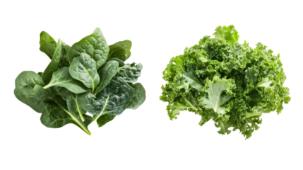 Spinach and kale two leafy green piles floating and falling on transparent background