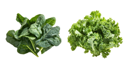 Spinach and kale two leafy green piles floating and falling on transparent background