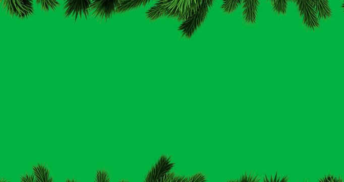 Animation of decoration with green fir tree branches on black background