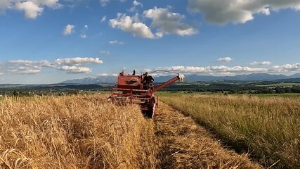 ZAKOPANE, POLAND - AUGUST 08, 2025: A classic 1986 Massey Ferguson combine harvester, well-preserved, still working during harvesting in fields in the high mountains.