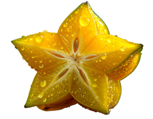 Cross-section of a star-shaped tropical fruit, glistening with water