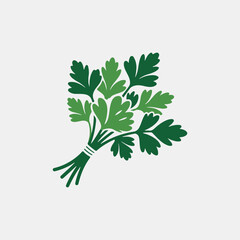 green parsley isolated on white