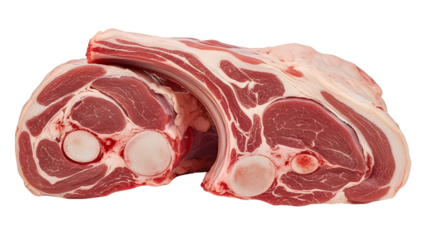 Two raw lamb shanks isolated on white background, ready for cooking and butchery use.