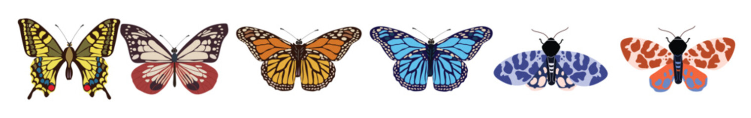 Fototapeta premium collection of elegant exotic butterflies and moths isolated