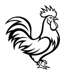 Stunning black and white rooster illustration with bold lines