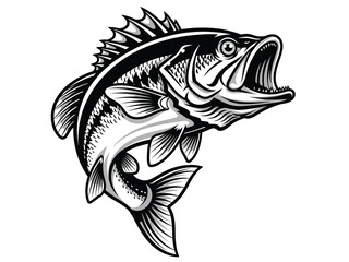 Aggressive bass fish jumping out of water in black and white
