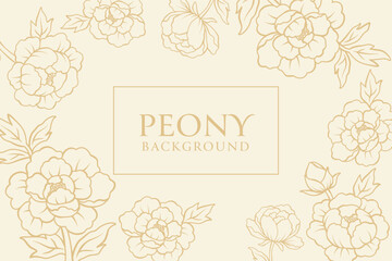 Elegant peony flowers background illustration