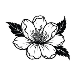 Beautiful black and white flower illustration with leaves